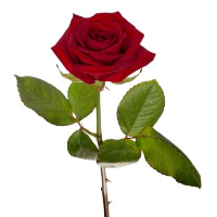 John Martin Gundersen